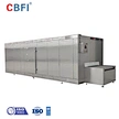 Tunnel Quick Freezer